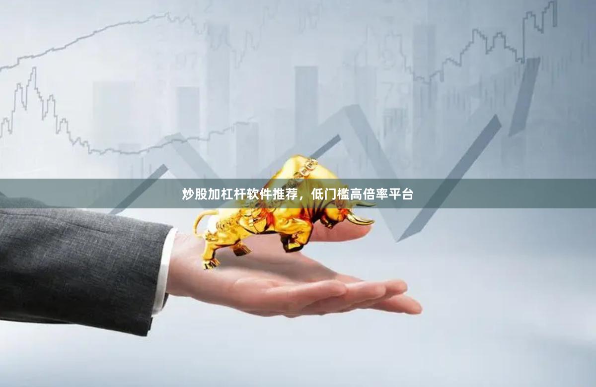 炒股加杠杆软件推荐，低门槛高倍率平台